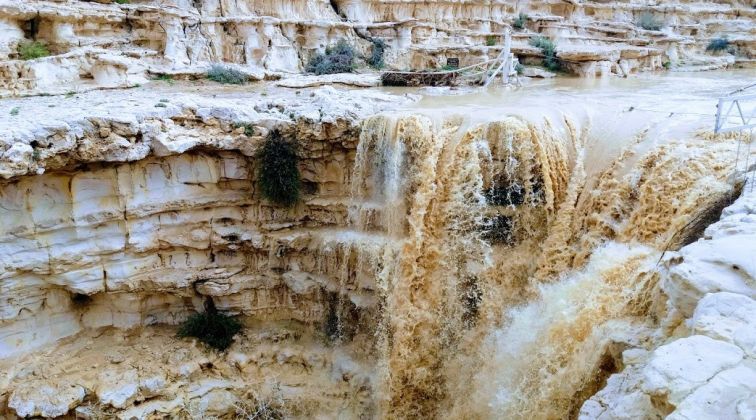 תמונה של היכן לצפות בשיטפונות: כל מה שרצית לדעת על התופעה המדברית - למטייל בישראל (טיולי)