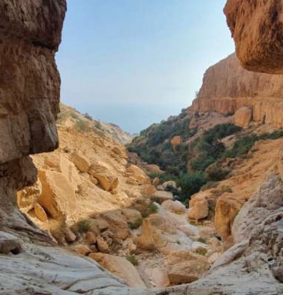 תמונה של גב החלון: הסוד הנסתר של נחל דוד - למטייל בישראל (טיולי)