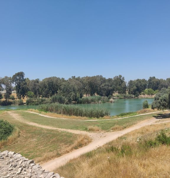 תמונה של פארק אפק - מתחם תל אפק (אנטיפטריס) בגן הלאומי ירקון - למטייל בישראל (טיולי)