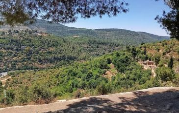 מתוך טיול עם ינשוף שדות חוויה אחרת (3)