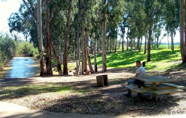 טיול ולילה: כל הצדדים של הירקון (3)