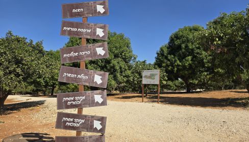 תמונה של פארק ההדרים ברחובות - למטייל בישראל (טיולי)