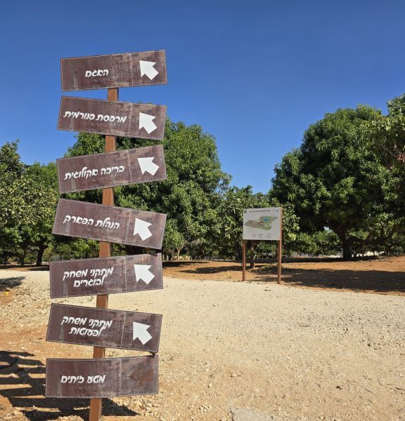 תמונה של פארק ההדרים ברחובות - למטייל בישראל (טיולי)