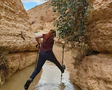 תמונה מתוך למטייל בישראל (טיולי)
