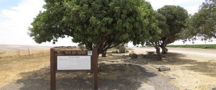 מצפה יוס ודוד (1)