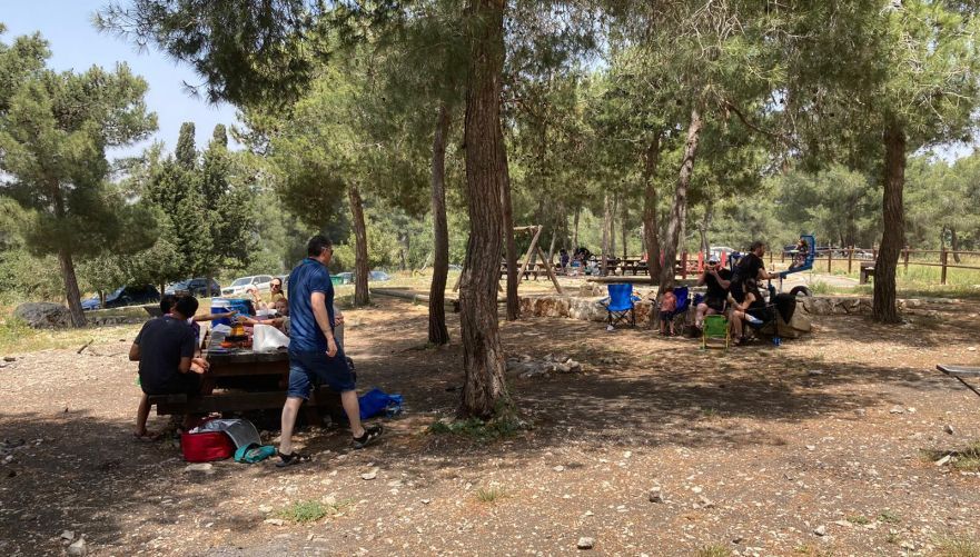 הפסקת צהריים בצל העצים של חניון אורן זמיר | צילום: חיים זרזר