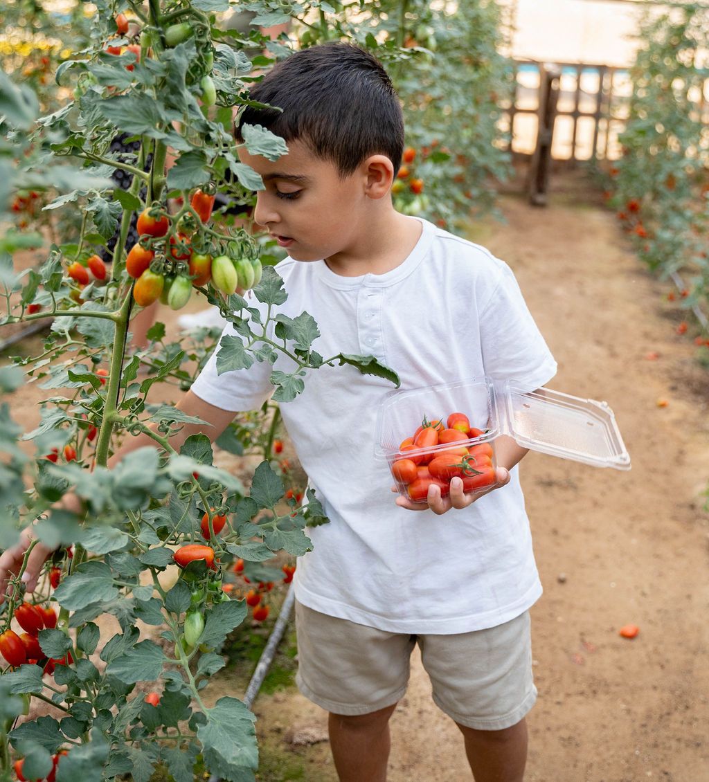 חוות הפסיפלורה: קטיף עצמי ופעילויות משפחתיות (2)