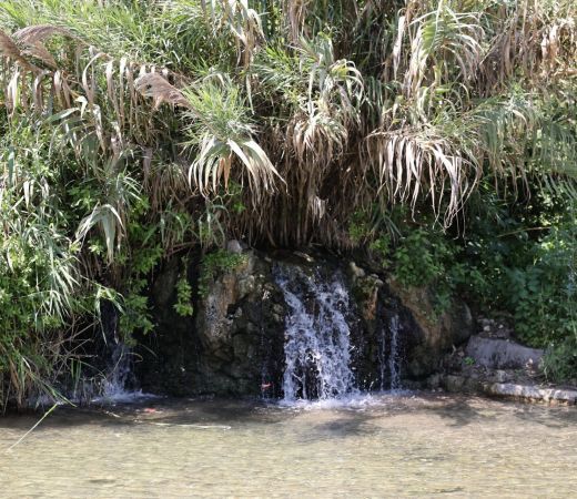 תמונה של ההיגיון גבר על הבירוקרטיה: עין יהודה נפתח מחדש אחרי כשנה וחצי - למטייל בישראל (טיולי)