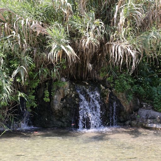 ההיגיון גבר על הבירוקרטיה: עין יהודה נפתח מחדש אחרי כשנה וחצי