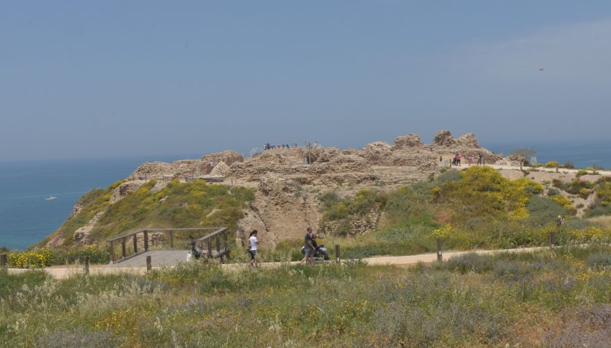 ממש ליד הים, צילום: גיל בהר