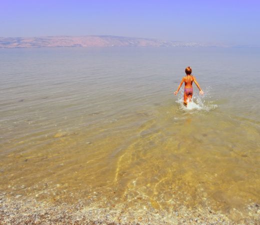 תמונה של האגם הלאומי: 5 חוויות שאסור לפספס מסביב לכנרת - למטייל בישראל (טיולי)
