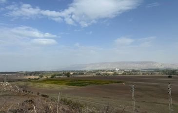 פיני בשטח: טיולי רייזרים בצפון (2)