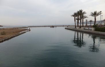 מי התעלה נשפכים לים על רקע השתקפות הדקלים - צילום בשטח: שתי זריחות וצבעי המדבר באילת (3)