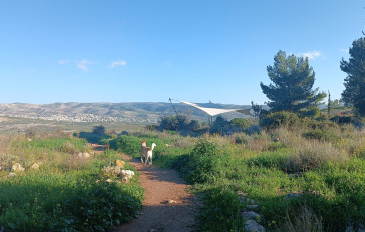 תצפית אמנון ליפקין שחק - גבעת הברושים במודיעין ומצפה אמנון ליפקין שחק (3)