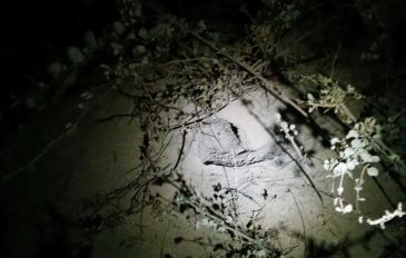טיול לילי בנחל חווארים (ראשון) 17.4 - טיול לילי בנחל חווארים עם אסף ברב 17.4 (3)
