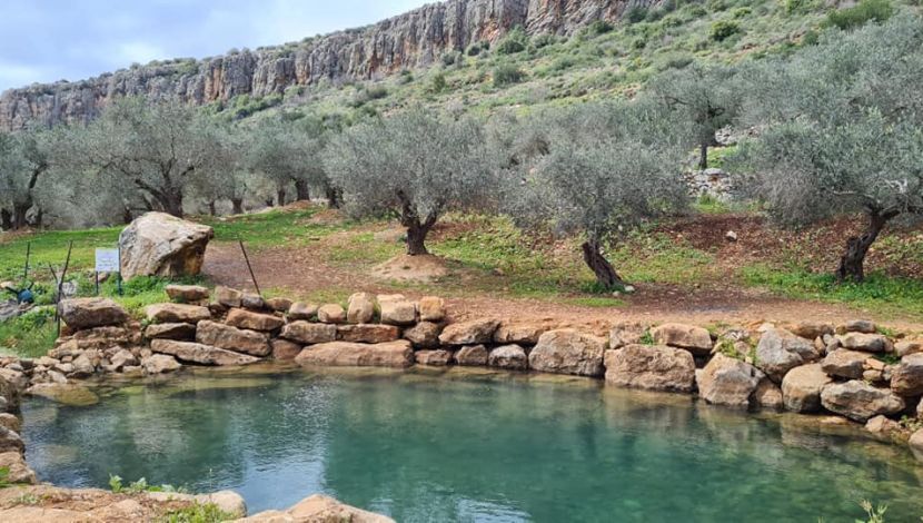 עין מג'נונה (עין יפעם) (1)