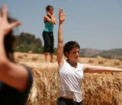תמונה של ורטיגו כפר אמנות אקולוגי - למטייל בישראל (טיולי)