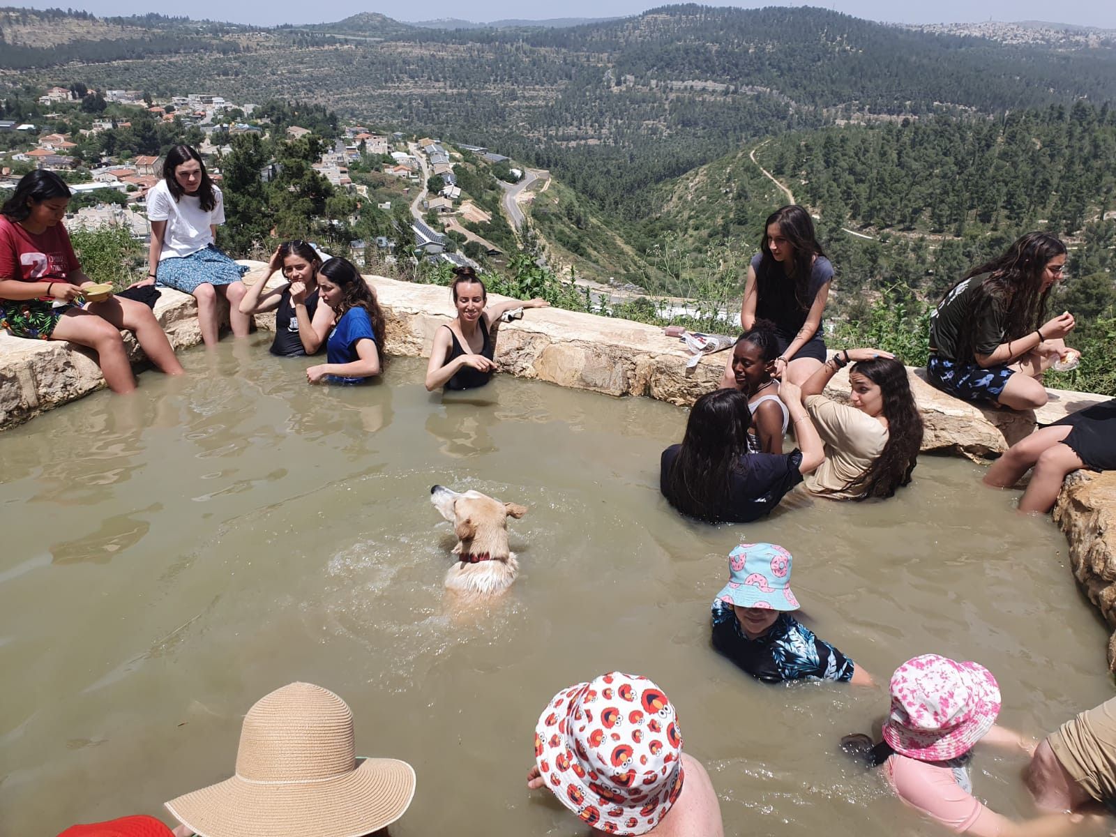 כוכב הבריכה | צילום: שי קדם