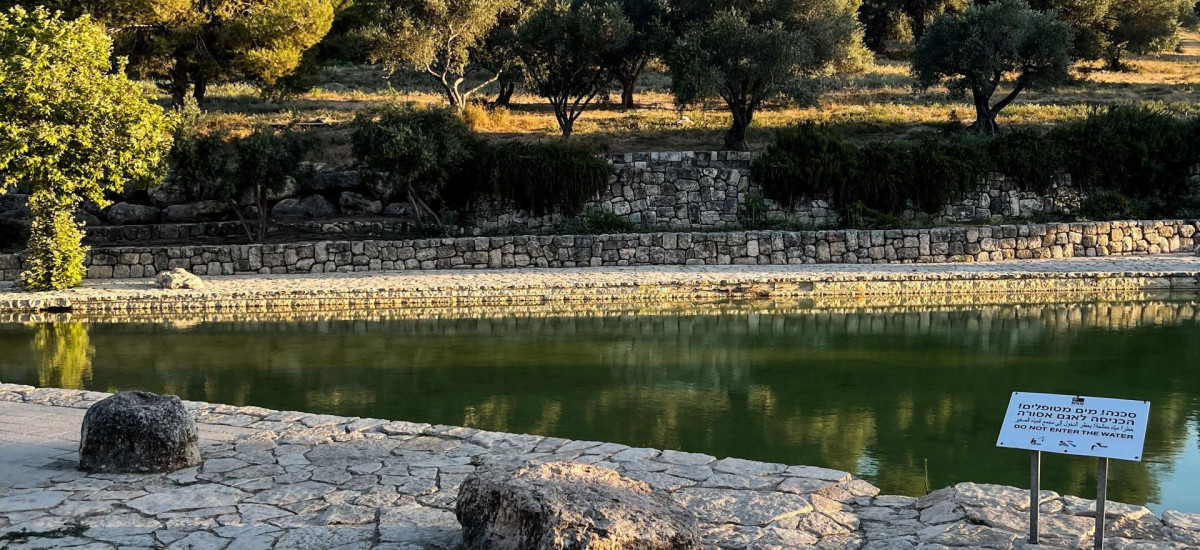 מתכננים טיול בפארק קנדה? אלה היערות שיסגרו למבקרים בעקבות ריסוס תהלוכן האורן (1)