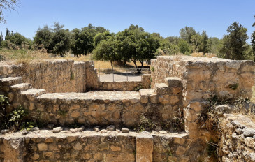 חרבת חנות - מטה יהודה: טעמים, אנשים וחוויות ביתיות שכדאי להכיר (2)