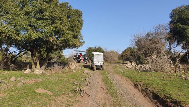 תמונה מתוך למטייל בישראל (טיולי)
