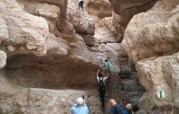 לאן מטיילים בשבת: שמורה סודית ומסלול אתגרי משפחתי בים המלח (3)