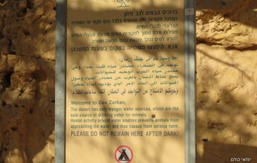 גב זרחן (3)