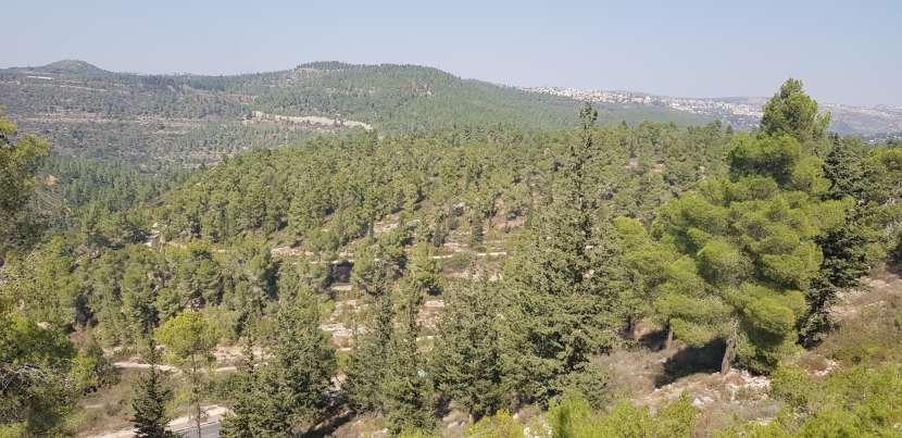 הנוף מיד קנדי | צילום: יוחאי כורם