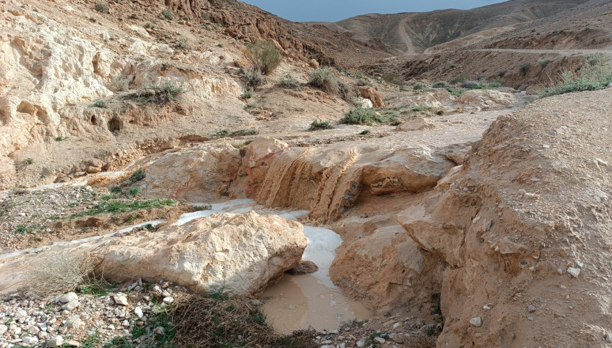 נחל צאלים בשיטפון | צילום: אלי שעשוע