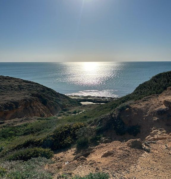 תמונה של חוף צוקי ים - למטייל בישראל (טיולי)