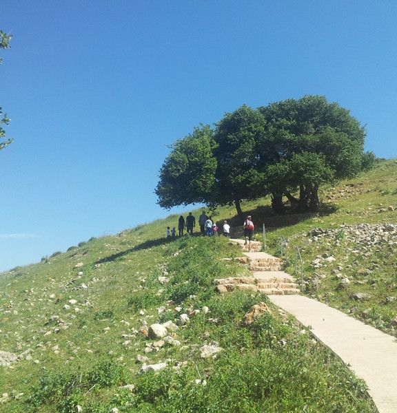 תמונה של תל יודפת והר עצמון - למטייל בישראל (טיולי)