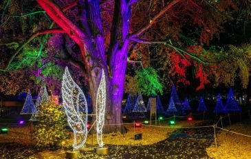 Winter Dreams: תערוכת פסלי האור הגדולה בעולם 2026-2027 (2)