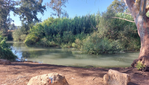 תמונה של כפר הבפטיסטים במקורות הירקון - למטייל בישראל (טיולי)