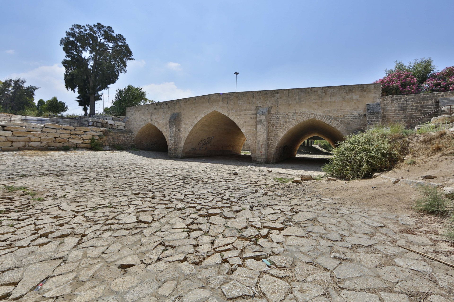 צילום: גיא יחיאלי