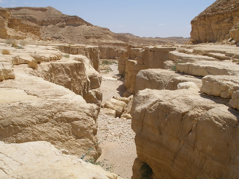 צילום: lirona123