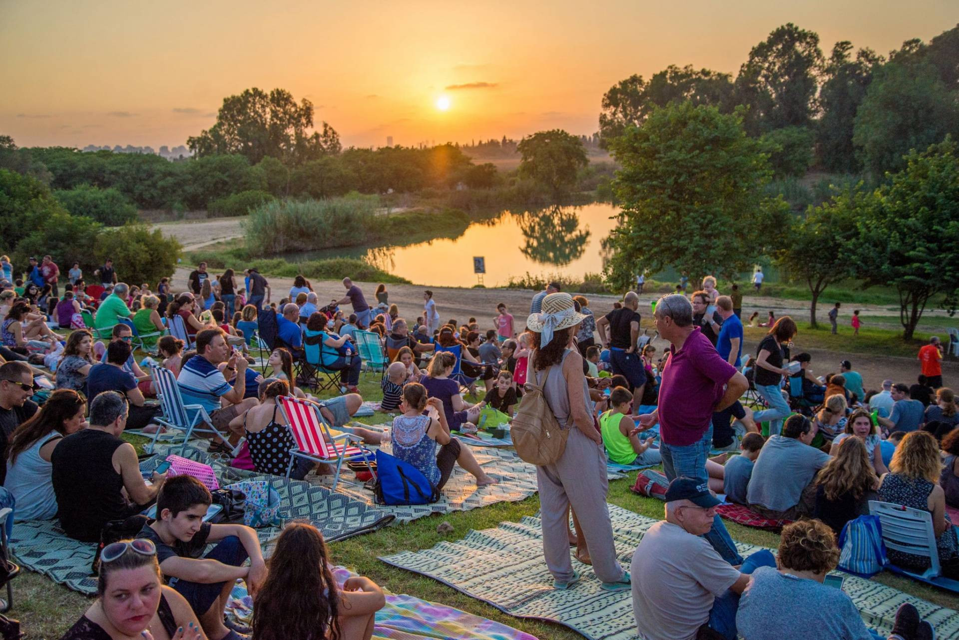 צילום: מנו גרינשפן