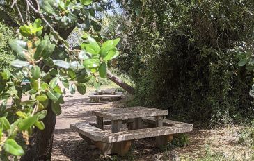 חניון שוויצריה הקטנה - שוויצריה הקטנה: מסלול משפחות מעגלי (3)