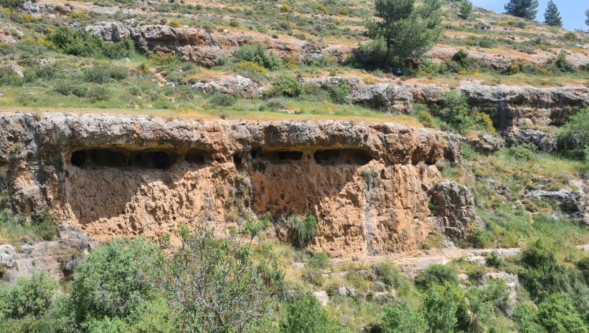 טיול בנחל חלילים - פריטור פריחה בעיינות תלם ונחל חלילים (1)