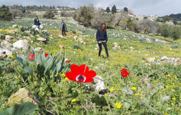 תל יודפת והר עצמון (3)