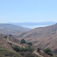 תמונה מתוך למטייל בישראל (טיולי)