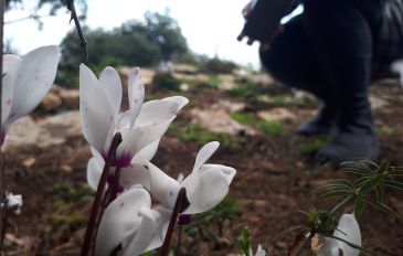 מצפור אמיר קרא (2)
