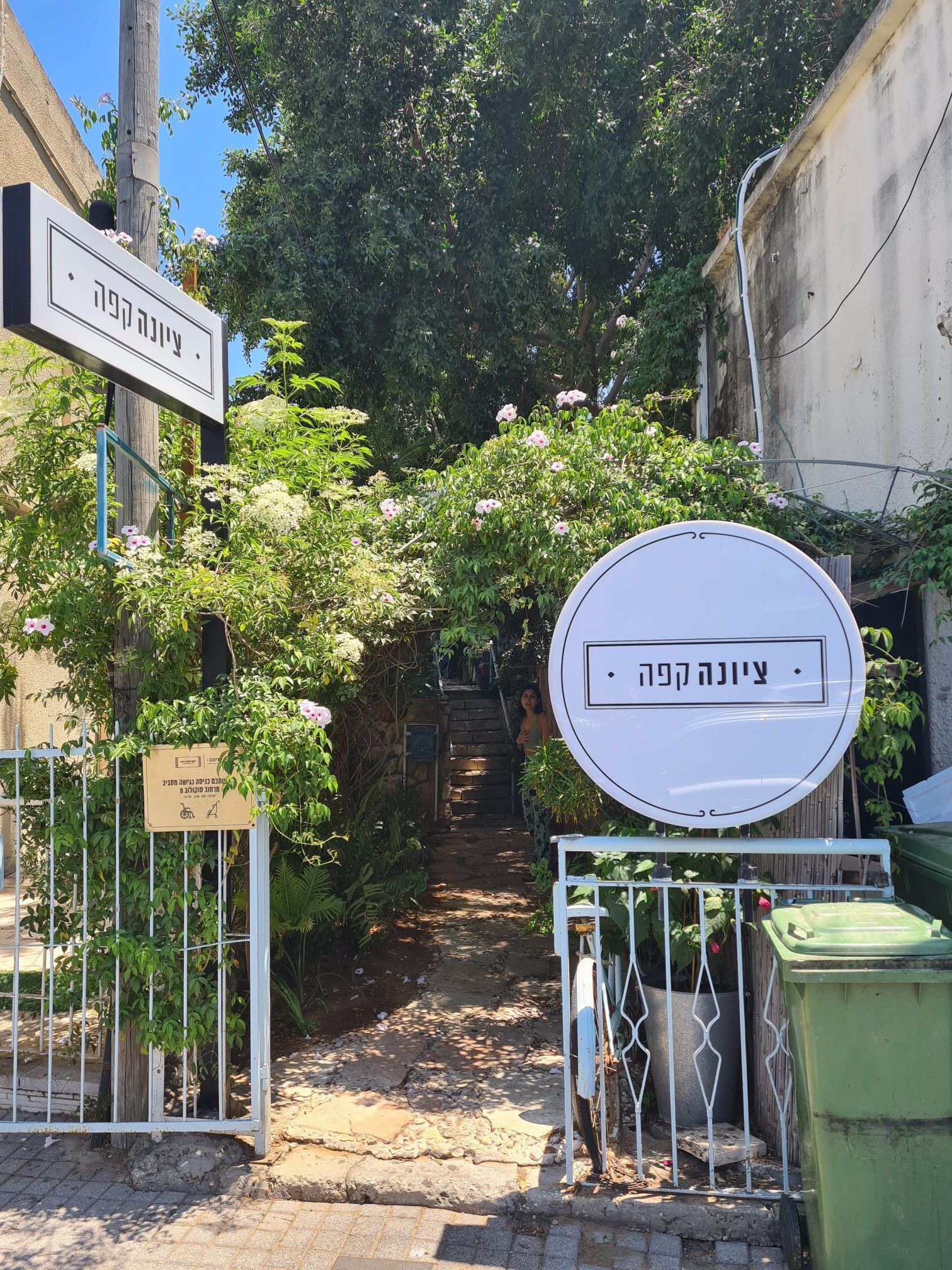 צילום מערכת