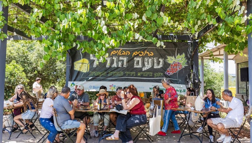 יריד טעם הגליל, עמותת זמן גליל מערבי - יריד טעם הגליל 2026: שוק איכרים ותוצרת מקומית (1)
