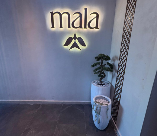 תמונה של מעלה מעלה: Mala Rooftop הופכת את רמת ישי ליעד לוהט - למטייל בישראל (טיולי)