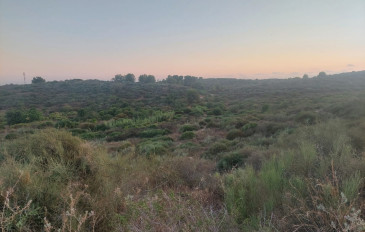 סיור עששיות נס ציונה (3)