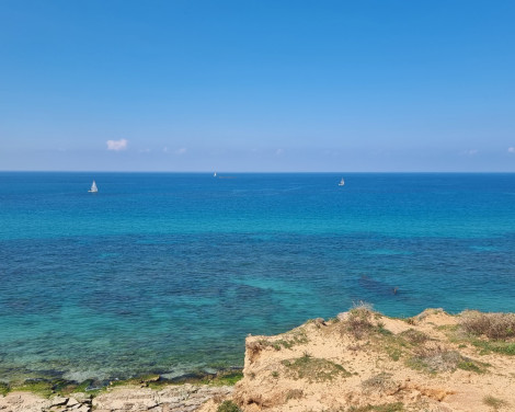 תמונה מתוך למטייל בישראל (טיולי)