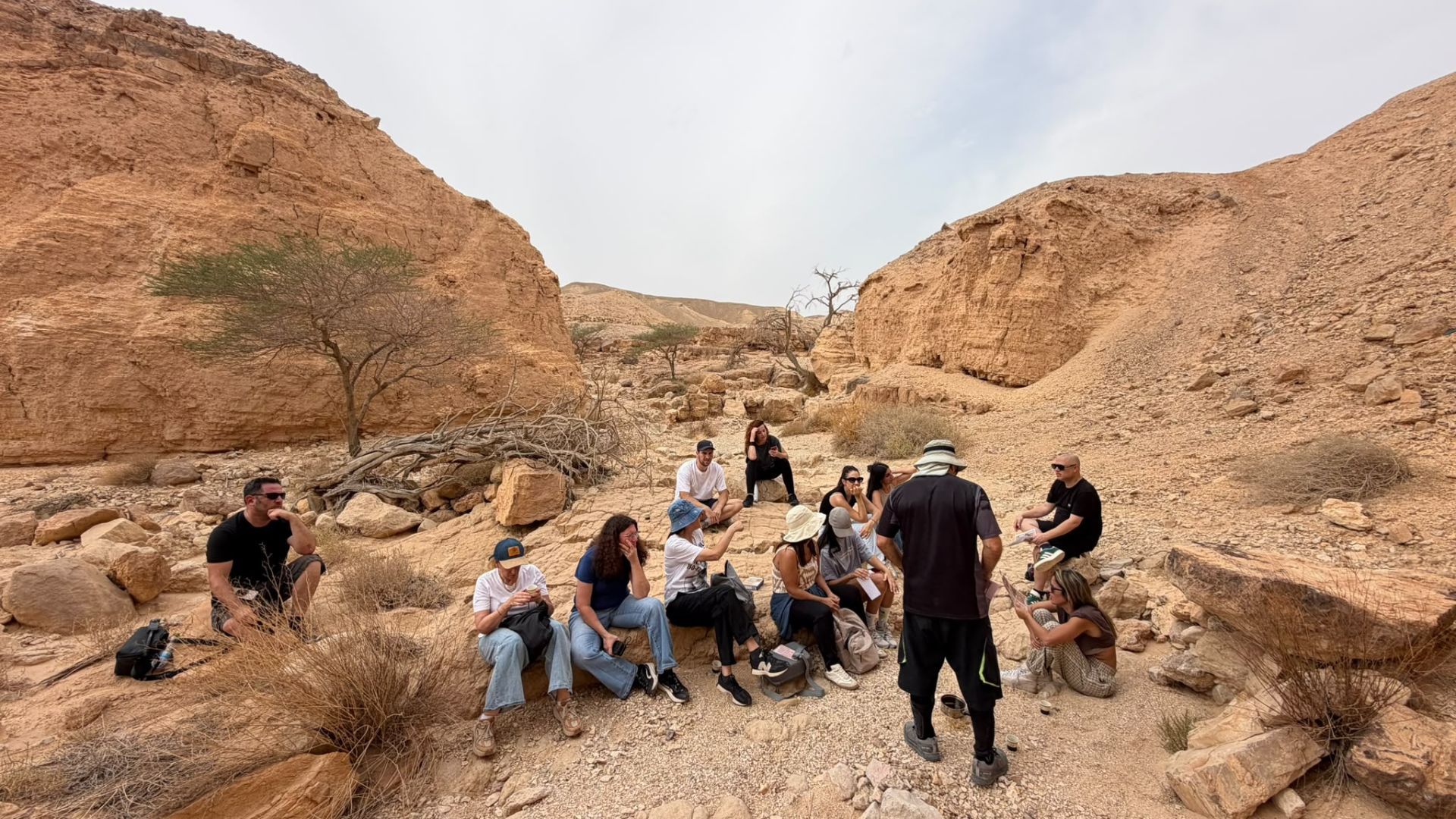 סיורים עם מדריכים מקצועיים