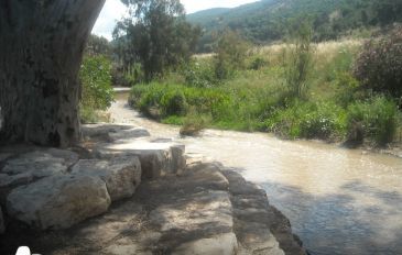 נחל הקישון. אלרואי - הרכבת חזרה לעמק (3)