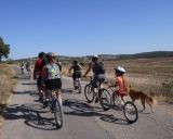תמונה של נקודת מוצא: השכרת אופניים וטיולי רכיבה בשפלת יהודה - למטייל בישראל (טיולי)