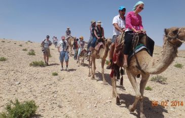 יאהלה-yahala camp salm - יאהלה - yahala salm camp (3)